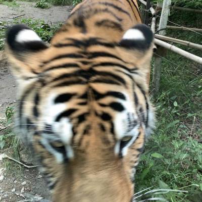 Photo review number 2565 from Ronia  A