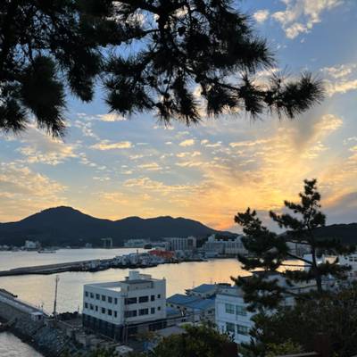 Photo review number 13169 from Vania R