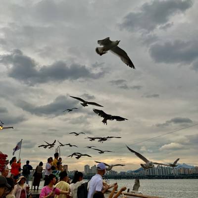 Photo review number 14741 from Jonathan L