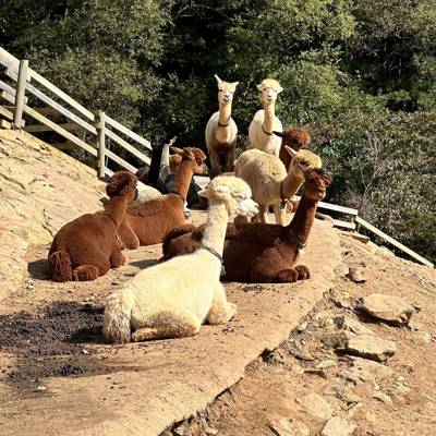 Photo review number 12542 from karen r