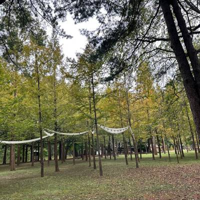 Photo review number 12541 from karen r