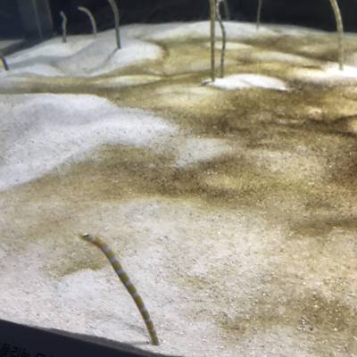 Photo review number 5322 from Miki M