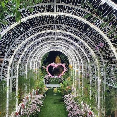 Photo review number 6338 from vilm********@***********