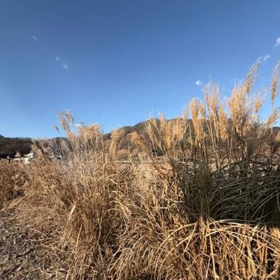 Photo review number 18170 from E Ling C