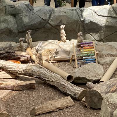 Photo review number 5510 from Mega*******@*********