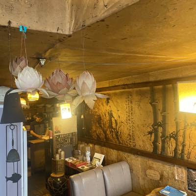 Photo review number 9081 from ZOE C