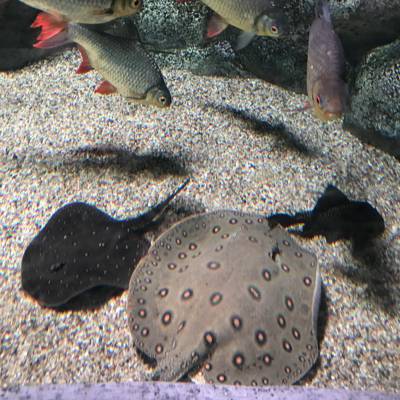 Photo review number 11461 from Adela B