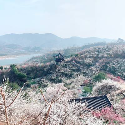 Photo review number 5302 from Thi Dung K