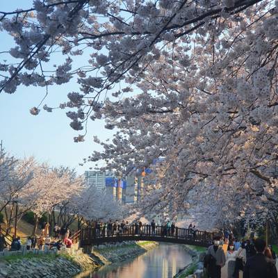 Photo review number 7625 from Dennis N