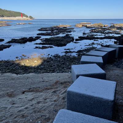 Photo review number 6862 from sanya a