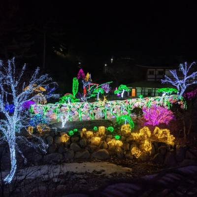 Photo review number 1550 from Alice H