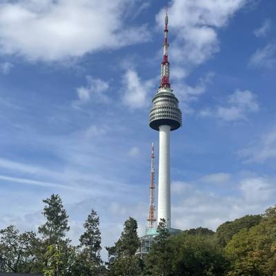 Photo review number 17815 from Lydia O