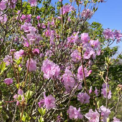 Photo review number 11117 from Lynn S