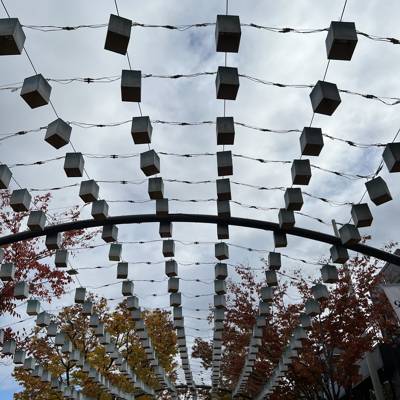 Photo review number 9431 from Amanda S