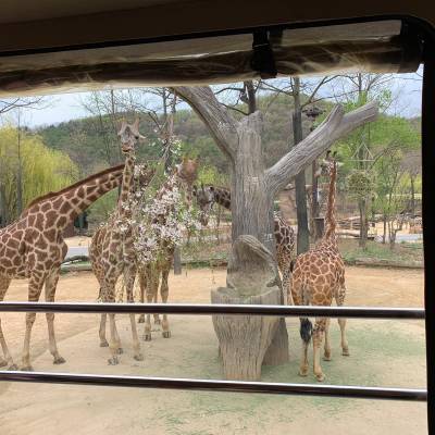 Photo review number 2006 from Thiparpa S