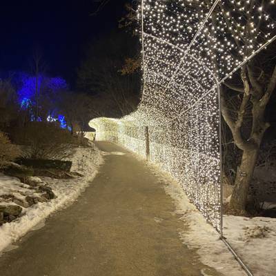 Photo review number 10473 from Jo L
