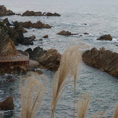 Photo review number 17852 from Debby S