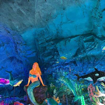 Photo review number 18015 from Rere********@*********