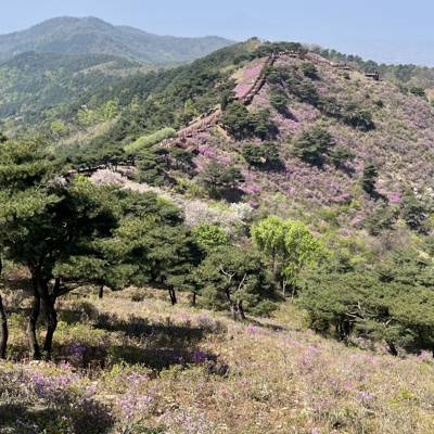 Photo review number 11116 from Lynn S