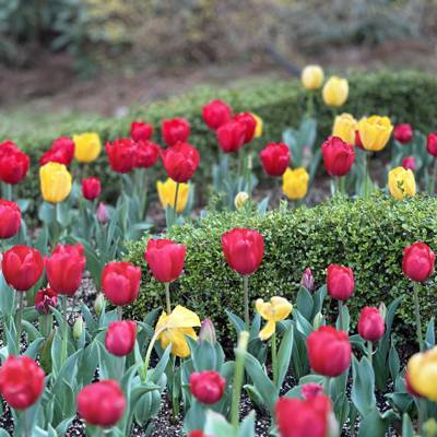 Photo review number 11005 from Myra I