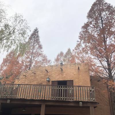 Photo review number 3908 from Mel A