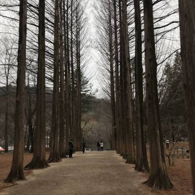 Photo review number 533 from Ahmad tarmizi M