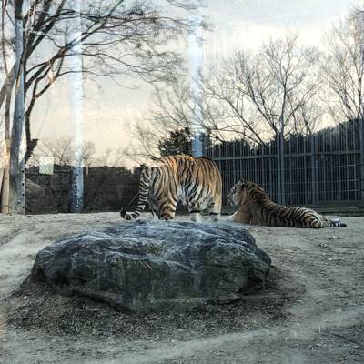 Photo review number 7326 from Aleksandra R