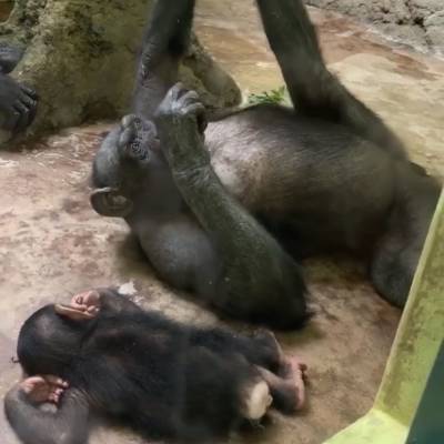 Photo review number 2558 from Ronia  A