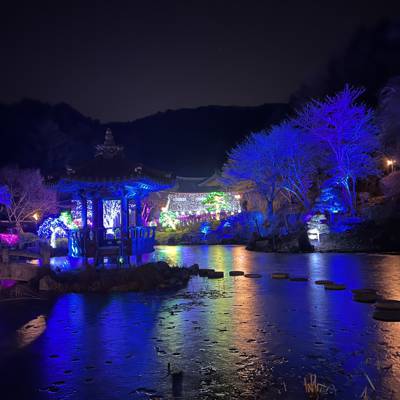 Photo review number 9993 from andy*******@*********