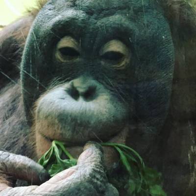 Photo review number 1941 from nene*****@*********