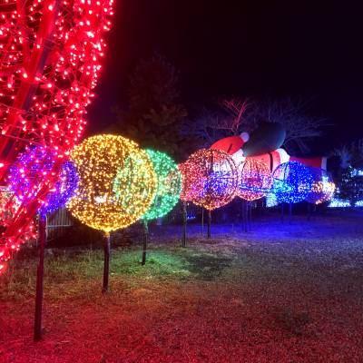 Photo review number 3937 from voeg****@*********