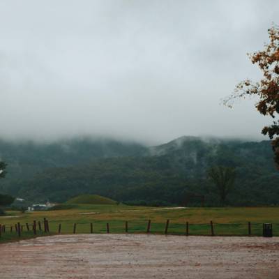 Photo review number 6204 from charlotte p