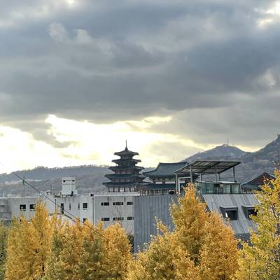 Photo review number 7049 from Shannon F