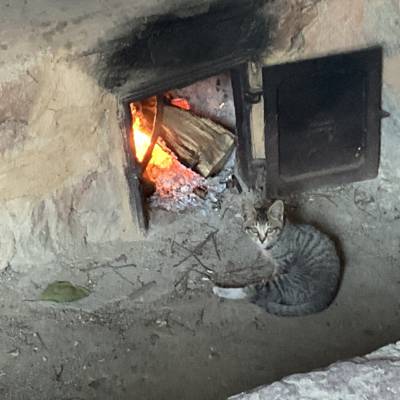 Photo review number 6324 from Stephanie S