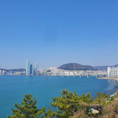 Photo review number 7629 from Dennis N