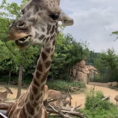 Photo review number 2566 from Ronia  A