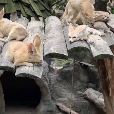 Photo review number 2568 from Ronia  A