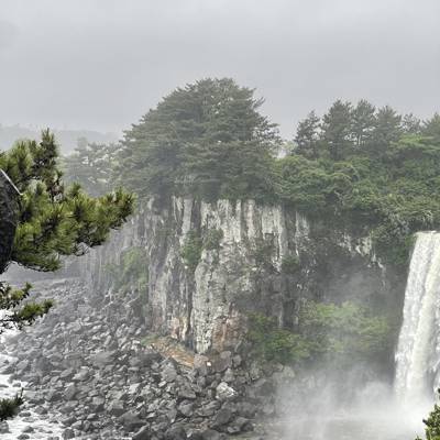 Photo review number 14419 from Ines F