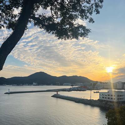 Photo review number 13076 from Arrielle T