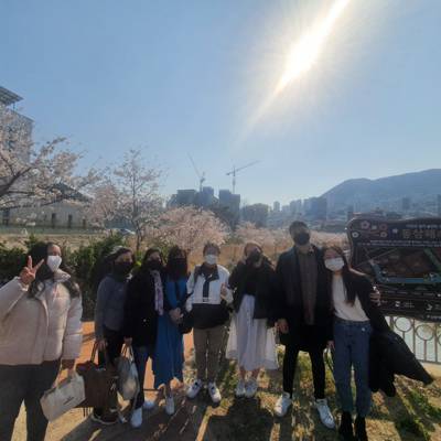 Photo review number 7626 from Dennis N