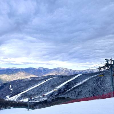 Photo review number 15741 from REX H