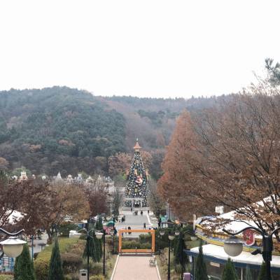 Photo review number 3905 from Mel A