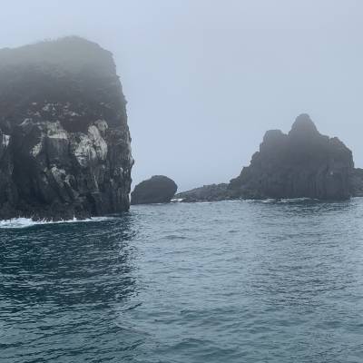 Photo review number 2781 from Jelk****@*********