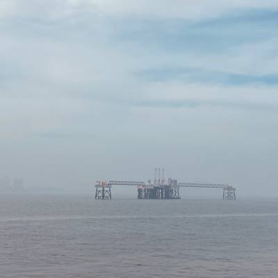 Photo review number 8513 from Sandy R