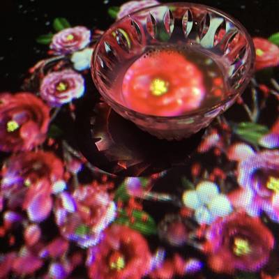 Photo review number 6440 from Stephanie S