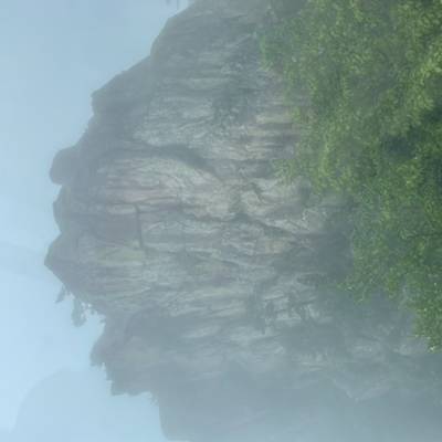 Photo review number 8033 from Martijn T