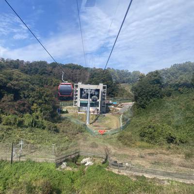 Photo review number 8745 from ZOE C