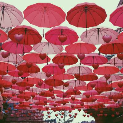 Photo review number 1940 from nene*****@*********