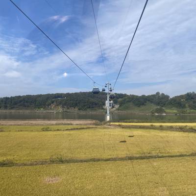 Photo review number 8742 from ZOE C