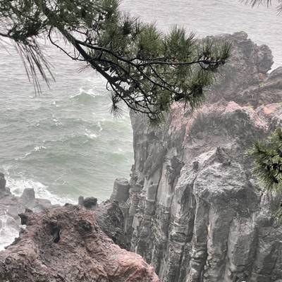 Photo review number 14418 from Ines F